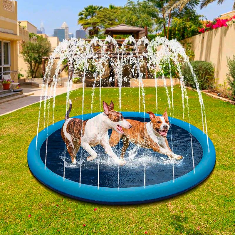 Piscina Infantil Para Crianças e Cães com Chafariz | DiverteKids P18-7 Importe Go 